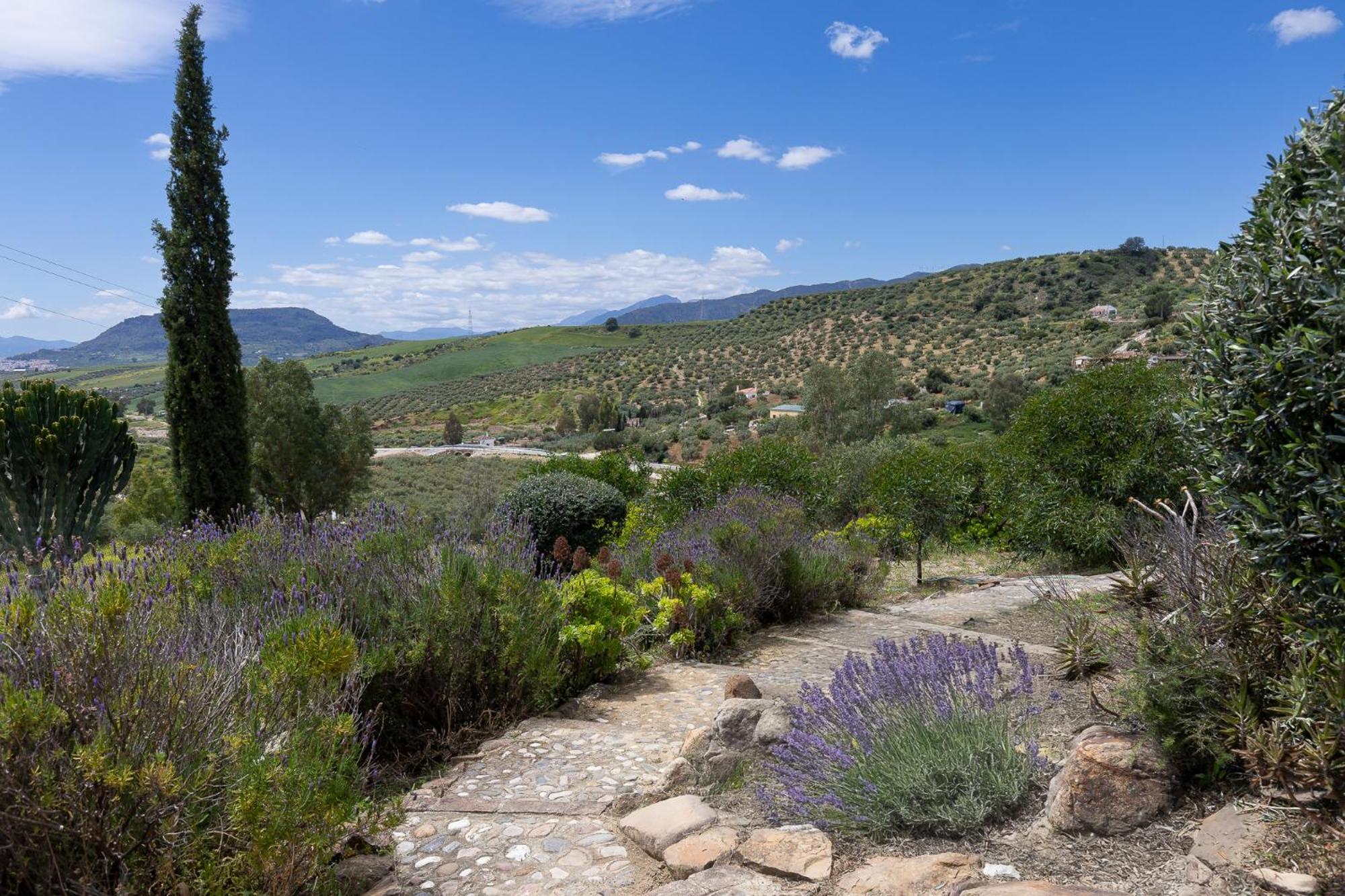 Boutique B&B Cortijo Valverde Alora Kültér fotó