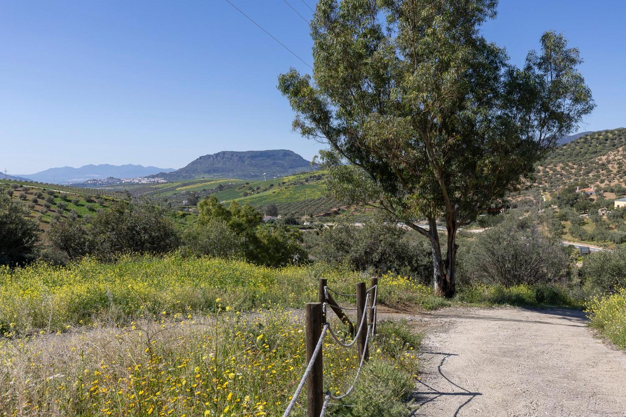 Boutique B&B Cortijo Valverde Alora Kültér fotó